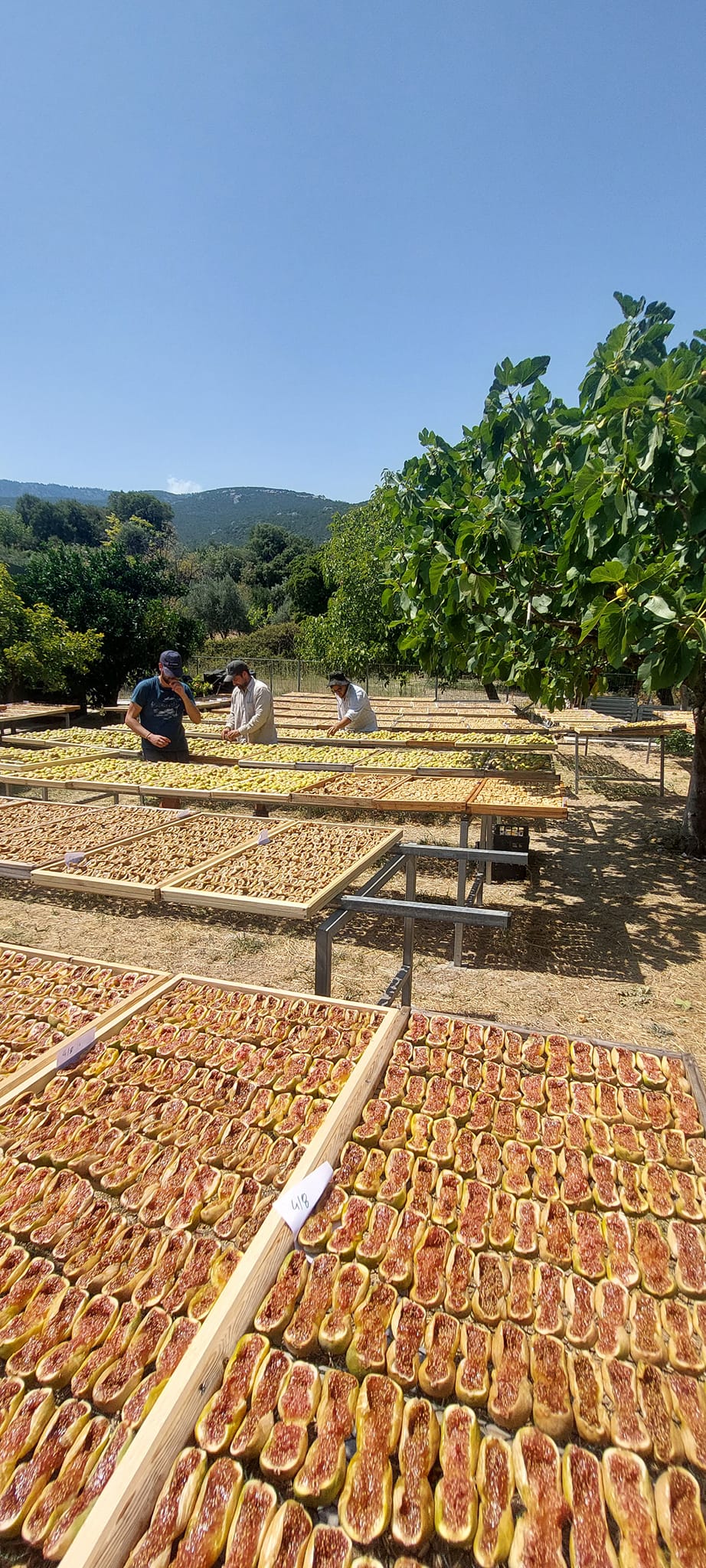 Feigenrolle mit Orange, dunkler Schokolade und Kakao, 135 g, Lieferzeit: 3 - 5 Tage