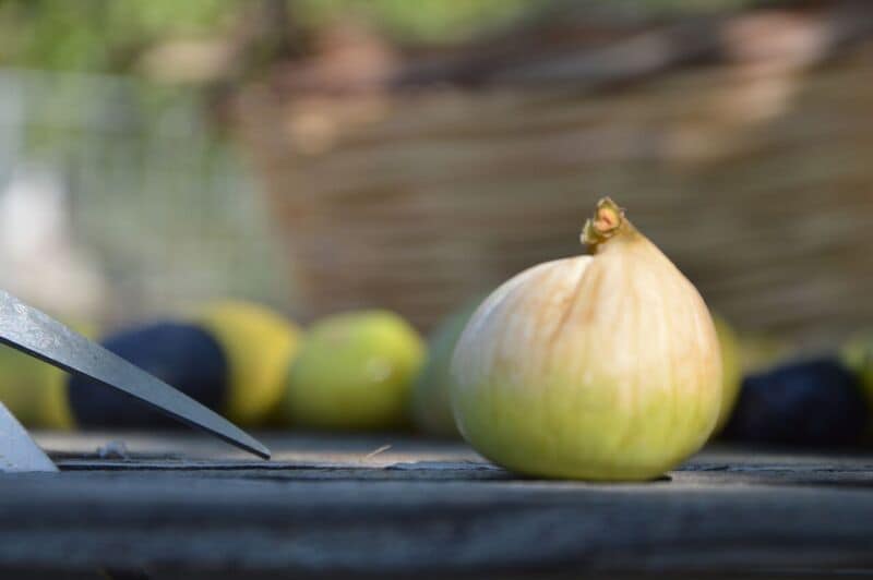 Feigenrolle mit Leinsamen, Kürbiskernen, Sonnenblumenkernen und Sesam 135 g, Lieferzeit: 3 - 5 Tage