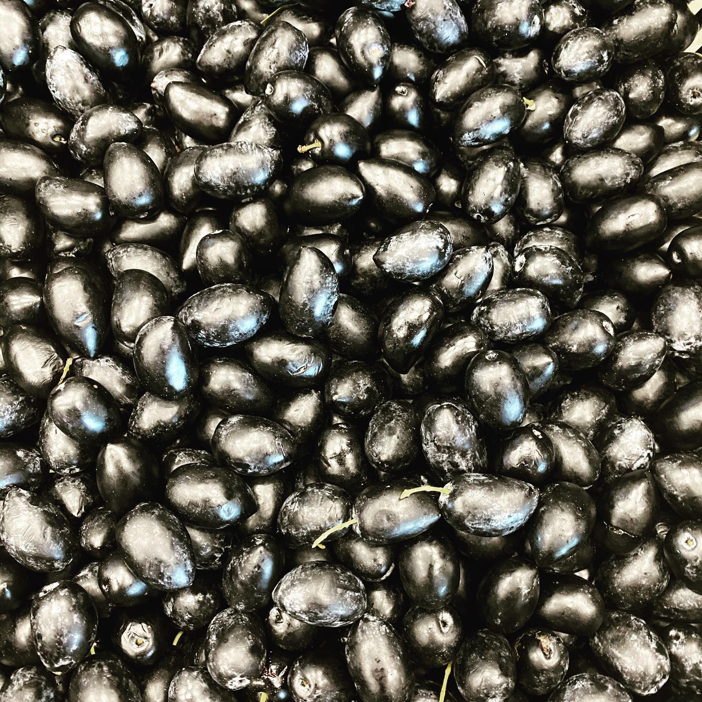 Kalamata Oliven in Lake 580g/340g Abtropfgewicht, Lieferzeit: 3 - 5 Tage