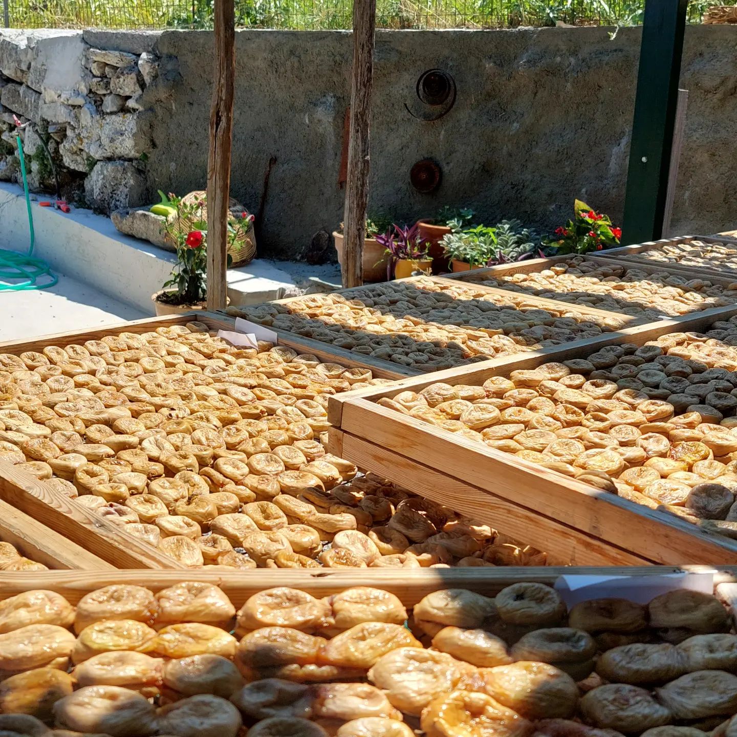 Feigenrolle mit Leinsamen, Kürbiskernen, Sonnenblumenkernen und Sesam 135 g, Lieferzeit: 3 - 5 Tage