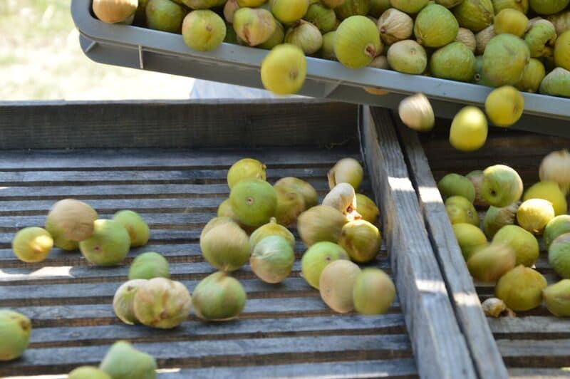 Feigenrolle mit Anissamen und Pfeffer 135 g, Lieferzeit: 3 - 5 Tage