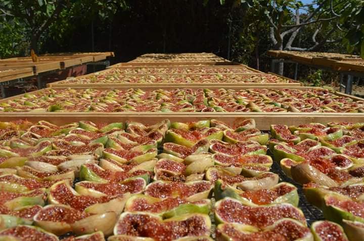 Feigenriegel Walnuß 35 g, Lieferzeit: 3 - 5 Tage