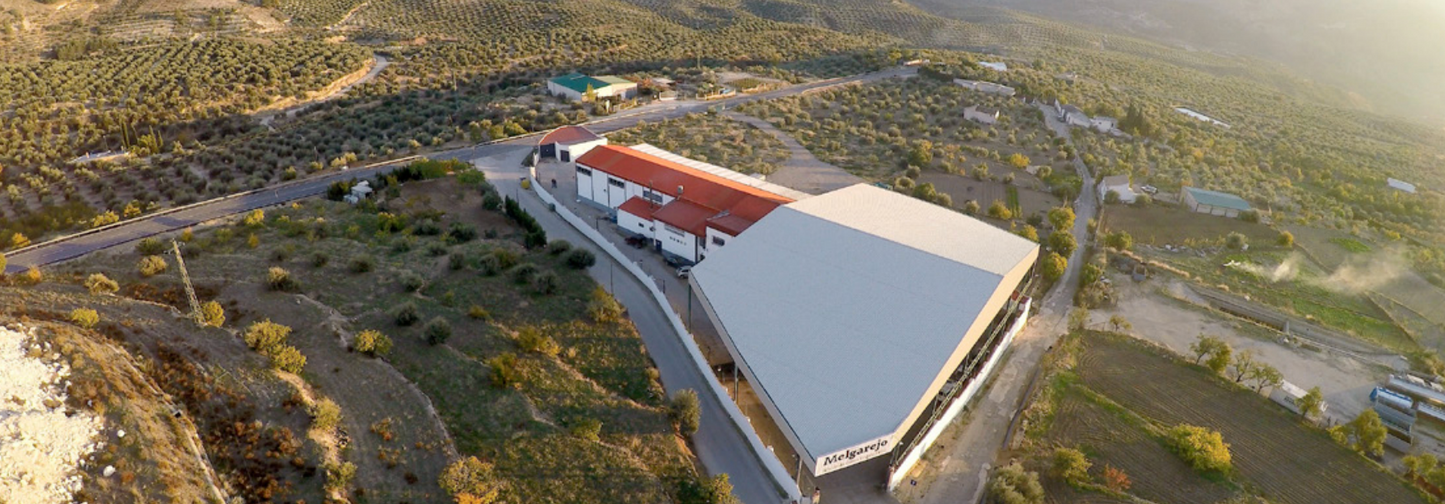 Melgarejo Hojiblanca 0,5l,  natives Olivenöl extra,  Ernte Okt. 2024,  Lieferzeit: 3 - 5 Tage