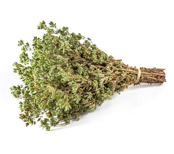 griechischer Oregano, Strauss, 40 g, Lieferzeit: 3 - 5 Tage