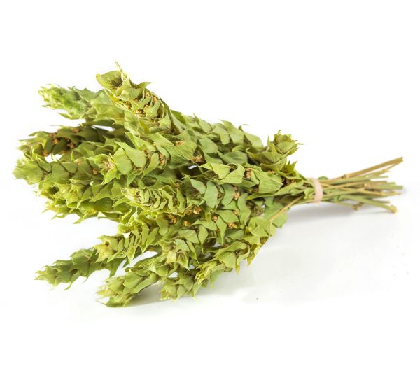 griechischer Bergtee (Sideritis scardica), Strauss, 25 g, Lieferzeit: 3 - 5 Tage