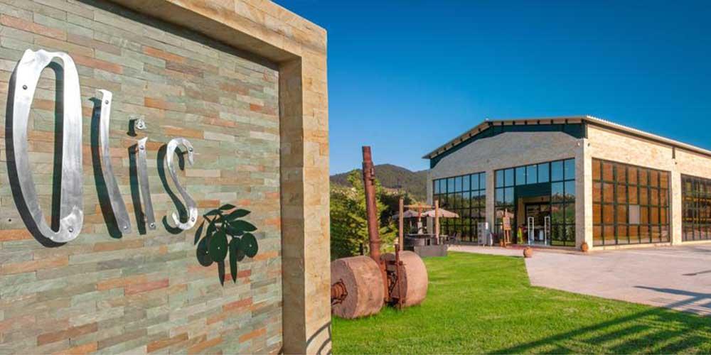 Schwarze Throumba Thassos Oliven P.D.O. 250 g Vakuumbeutel, Lieferzeit: 3 - 5 Tage